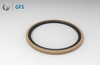 PGA -Customized Piston Seal Glyd Ring PTFE (rounded chamfer)